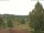 Webcam in Hahnenklee-Bockswiese, 9.2 km