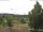 Webcam in Hahnenklee-Bockswiese, 12.9 mi away