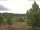 Webcam in Hahnenklee-Bockswiese, 8.7 km