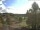 Webcam in Hahnenklee-Bockswiese, 10.8 km