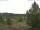Webcam in Hahnenklee-Bockswiese, 33.5 km