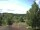 Webcam in Hahnenklee-Bockswiese, 14.7 mi away
