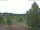 Webcam in Hahnenklee-Bockswiese, 26.1 km