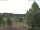 Webcam in Hahnenklee-Bockswiese, 10.8 km