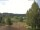 Webcam in Hahnenklee-Bockswiese, 25.4 km
