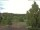 Webcam in Hahnenklee-Bockswiese, 9.2 km