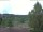 Webcam in Hahnenklee-Bockswiese, 0.2 km