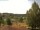 Webcam in Hahnenklee-Bockswiese, 10.8 mi away