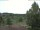 Webcam in Hahnenklee-Bockswiese, 7.3 km
