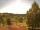 Webcam in Hahnenklee-Bockswiese, 2.1 mi away