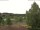 Webcam in Hahnenklee-Bockswiese, 3.4 mi away