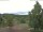 Webcam in Hahnenklee-Bockswiese, 1.5 km