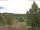 Webcam in Hahnenklee-Bockswiese, 7.3 km
