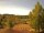 Webcam in Hahnenklee-Bockswiese, 1.5 km