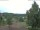 Webcam in Hahnenklee-Bockswiese, 14.8 km