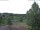 Webcam in Hahnenklee-Bockswiese, 2.9 mi away