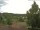 Webcam in Hahnenklee-Bockswiese, 8.5 mi away