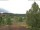 Webcam in Hahnenklee-Bockswiese, 5.7 mi away