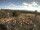 Webcam on mount Hoherodskopf, 15.5 mi away
