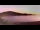 Webcam in Port-Vendres, 0 km