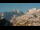 Webcam in Saint-Sorlin-d'Arves, 0 km entfernt