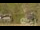 Webcam in Saint-Sorlin-d'Arves, 0 km