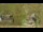 Webcam in Saint-Sorlin-d'Arves, 0 km