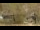 Webcam in Saint-Sorlin-d'Arves, 0 mi away