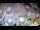 Webcam in Miami, Florida, 208.1 km entfernt