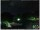 Webcam in Ronciglione, 6.3 mi away