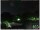 Webcam in Ronciglione, 6.4 mi away