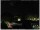 Webcam in Ronciglione, 16.6 km entfernt