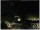 Webcam in Ronciglione, 44.8 km