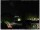 Webcam in Ronciglione, 50.5 km