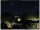 Webcam in Ronciglione, 47.9 km