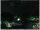 Webcam in Ronciglione, 36.3 km