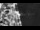 Webcam in Winningen, 36.1 km