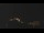 Webcam in Castelvetro di Modena, 14.5 mi away