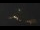 Webcam in Castelvetro di Modena, 8.3 mi away