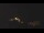 Webcam in Castelvetro di Modena, 12.2 mi away
