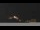 Webcam in Castelvetro di Modena, 7.1 mi away