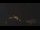 Webcam in Castelvetro di Modena, 33 km