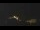 Webcam in Castelvetro di Modena, 12.1 mi away