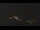 Webcam in Castelvetro di Modena, 29.1 km