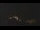 Webcam in Castelvetro di Modena, 32.8 km