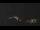 Webcam in Castelvetro di Modena, 10.3 mi away