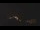 Webcam in Castelvetro di Modena, 12.9 mi away