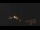 Webcam in Castelvetro di Modena, 31.7 km