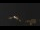 Webcam in Castelvetro di Modena, 56.9 km
