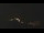 Webcam in Castelvetro di Modena, 37.6 km